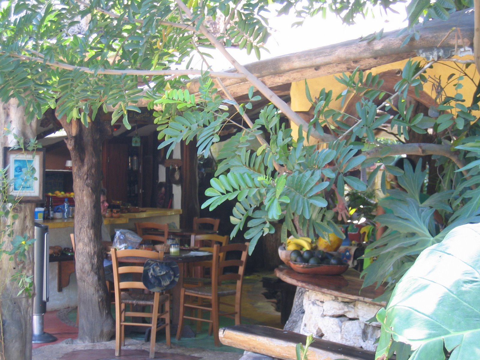 [IMG_5394.JPG]