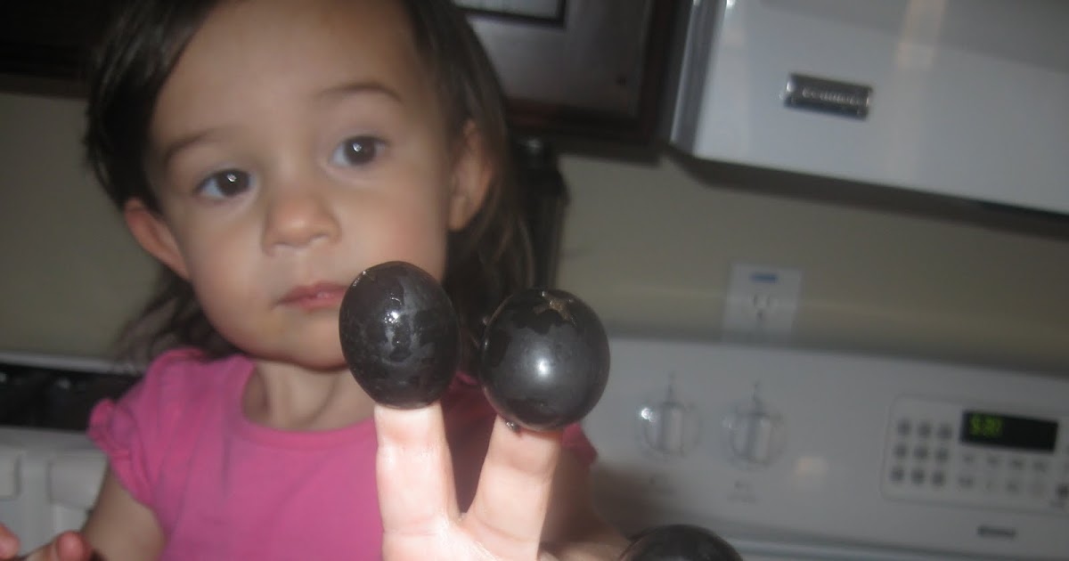 The Christensen Family Black Olives on Baby Fingers