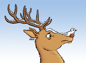 [robindeer.jpg]