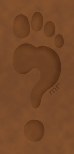 [footquest.jpg]