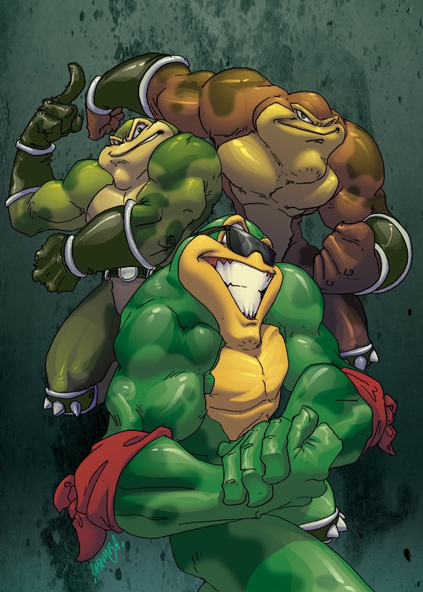 [battletoads.jpg]