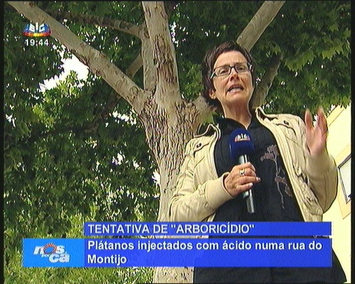 [arboricÃ&shy]