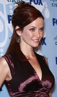 annie wersching