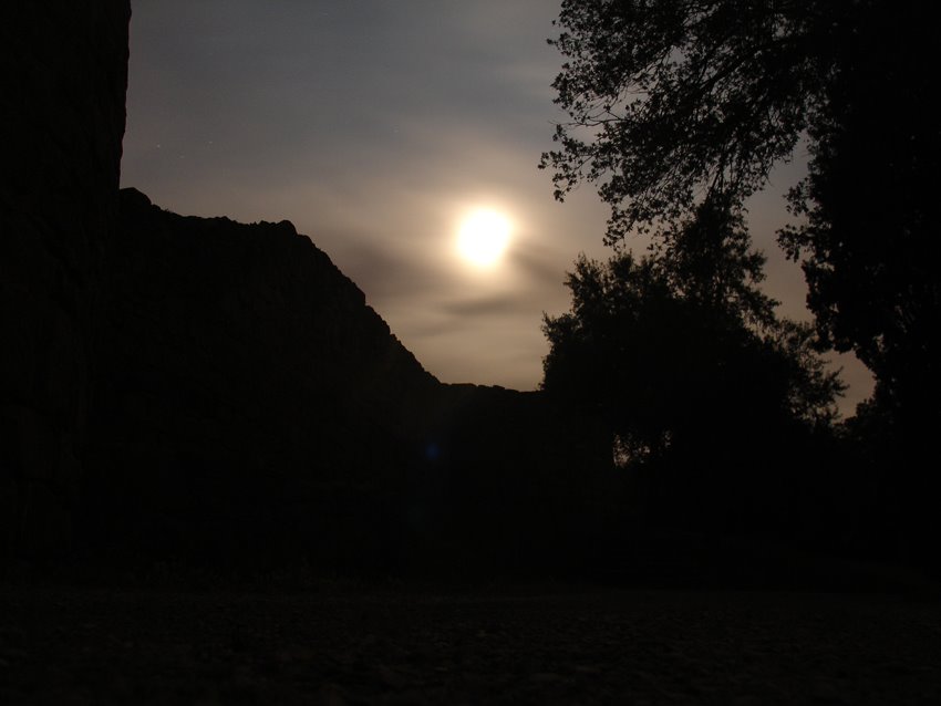 [DSC07319.JPG]
