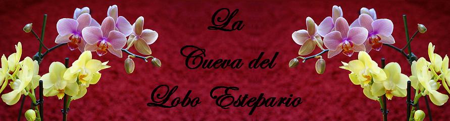 La cueva del Lobo Estepario