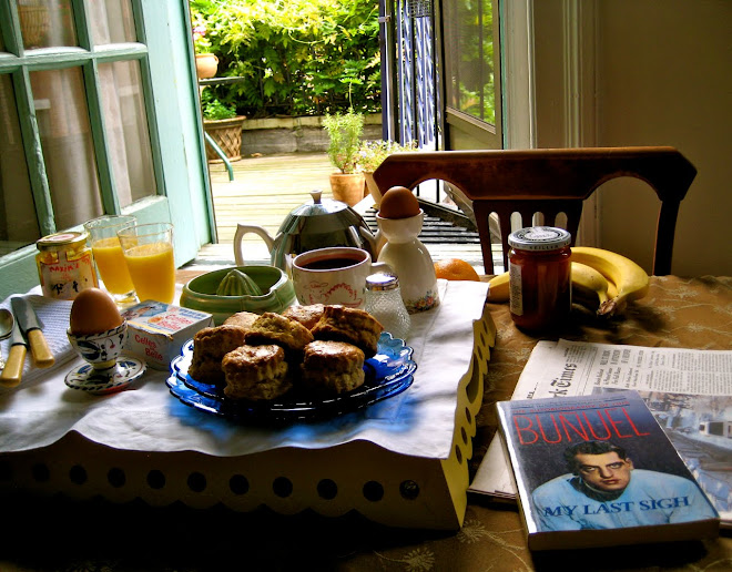 Whole Wheat Biscuits and Luis Buñuel