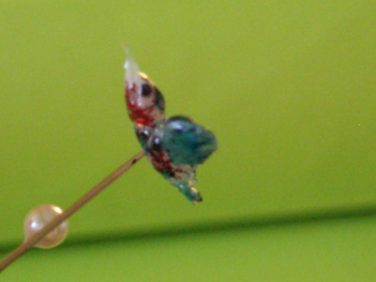 [P5240889.JPG]