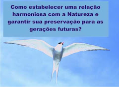 Alto Astral Ecologia