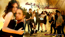 Our Twilight Chronicles