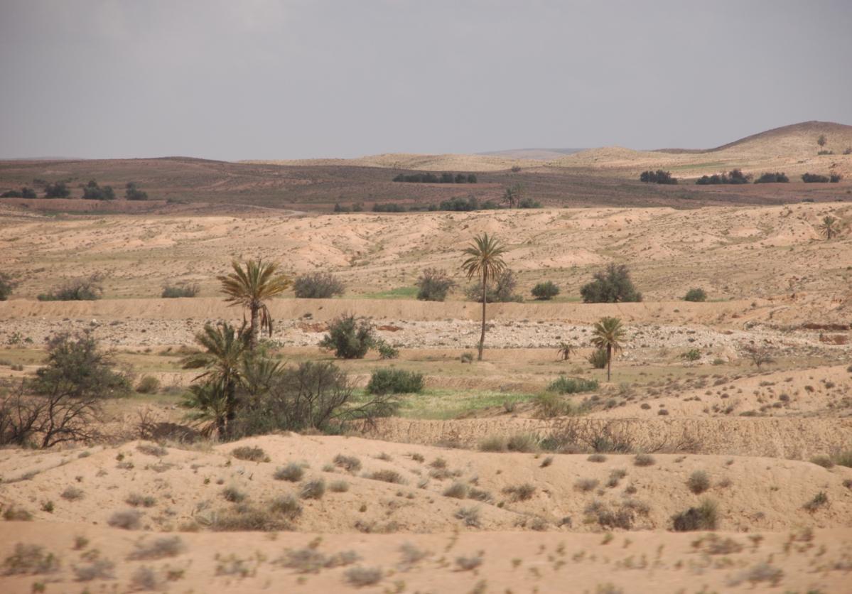 [tunis+14.JPG]