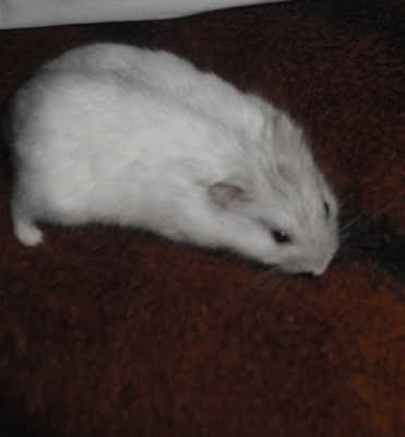 [DSCF0254.jpg]