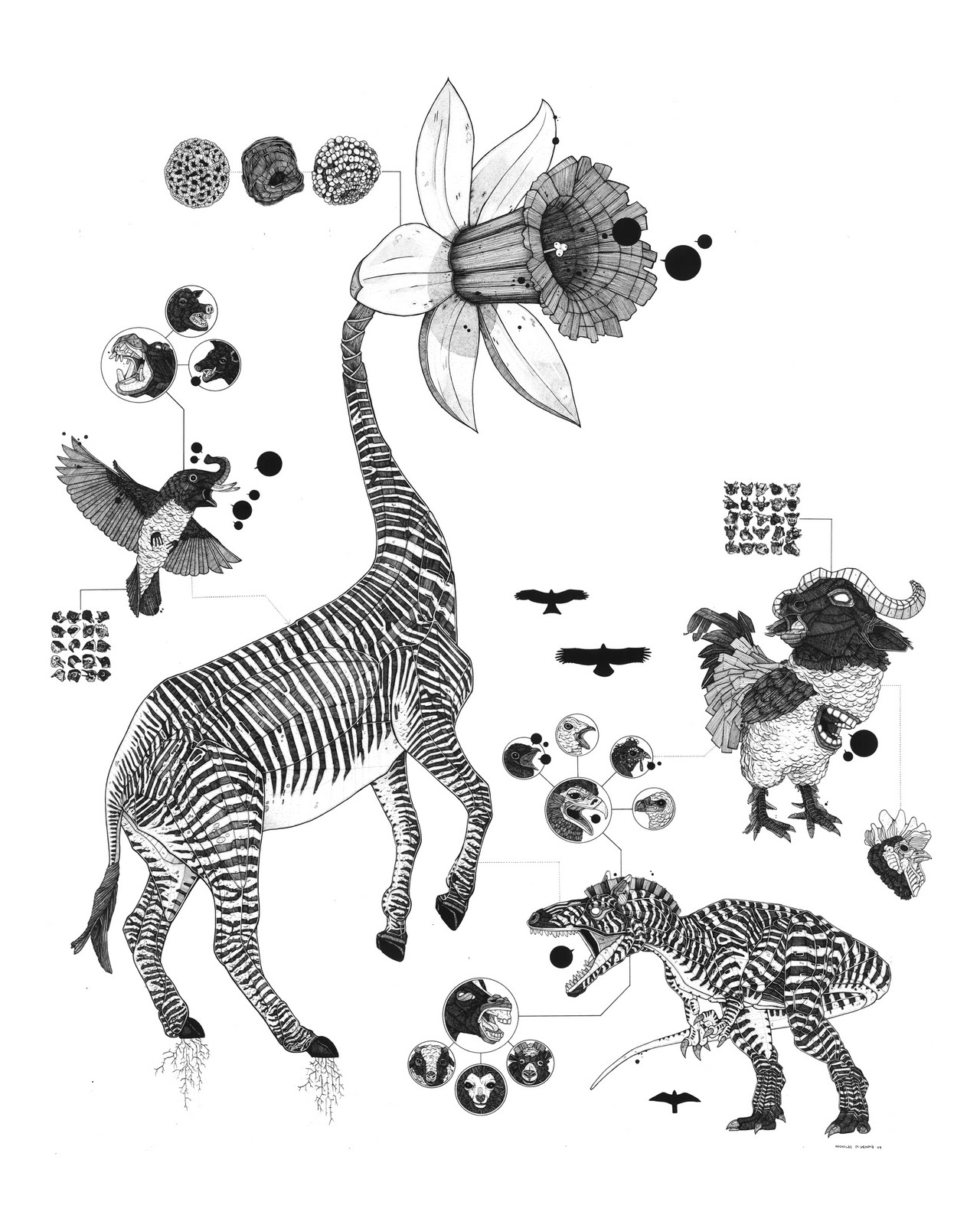 [SavannahRegionWeb.jpg]