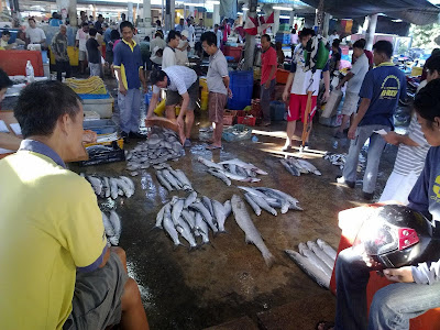 Suatu Catatan Perjalanan Ikan Kekek Mak Iloi Iloi
