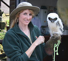 Kielder Bird of Prey Centre in England