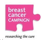 KT Miniatures Journal: Breast Cancer Campaign Fundraising 