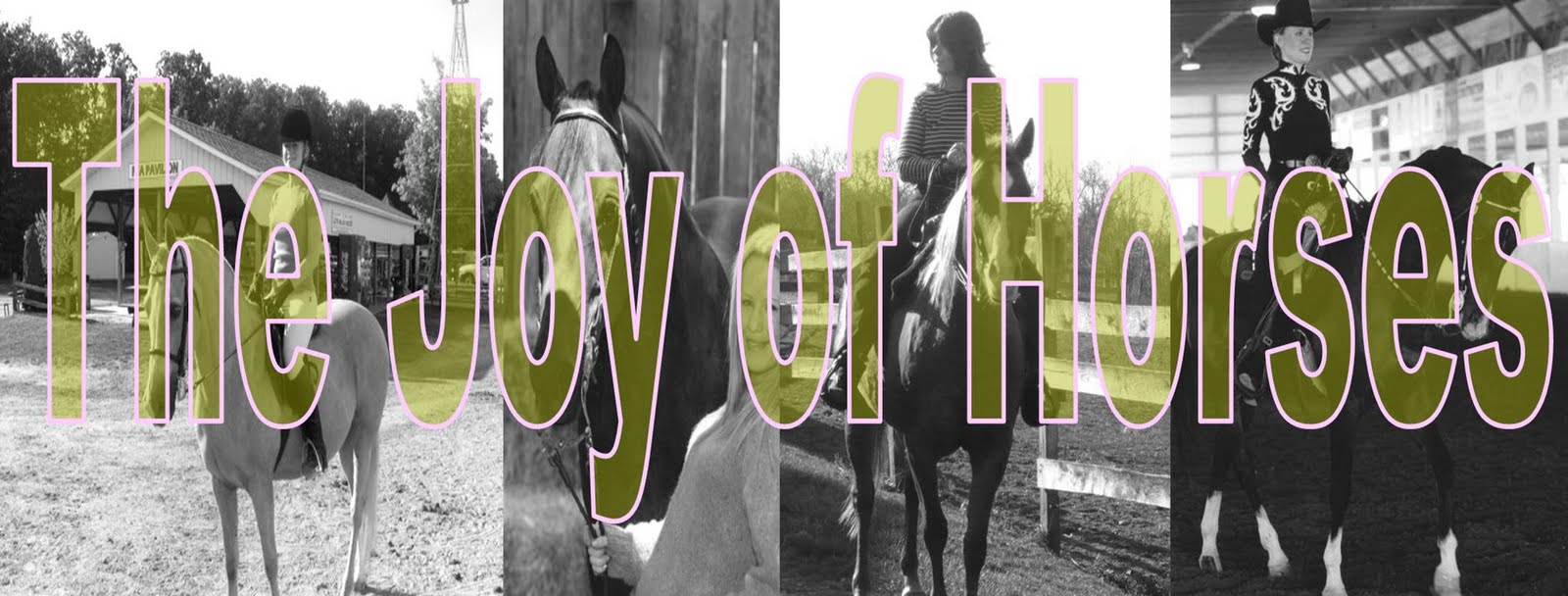 The Joy of Horses