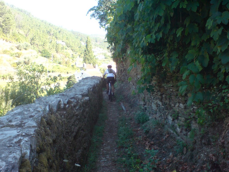 [DSC00078.JPG]
