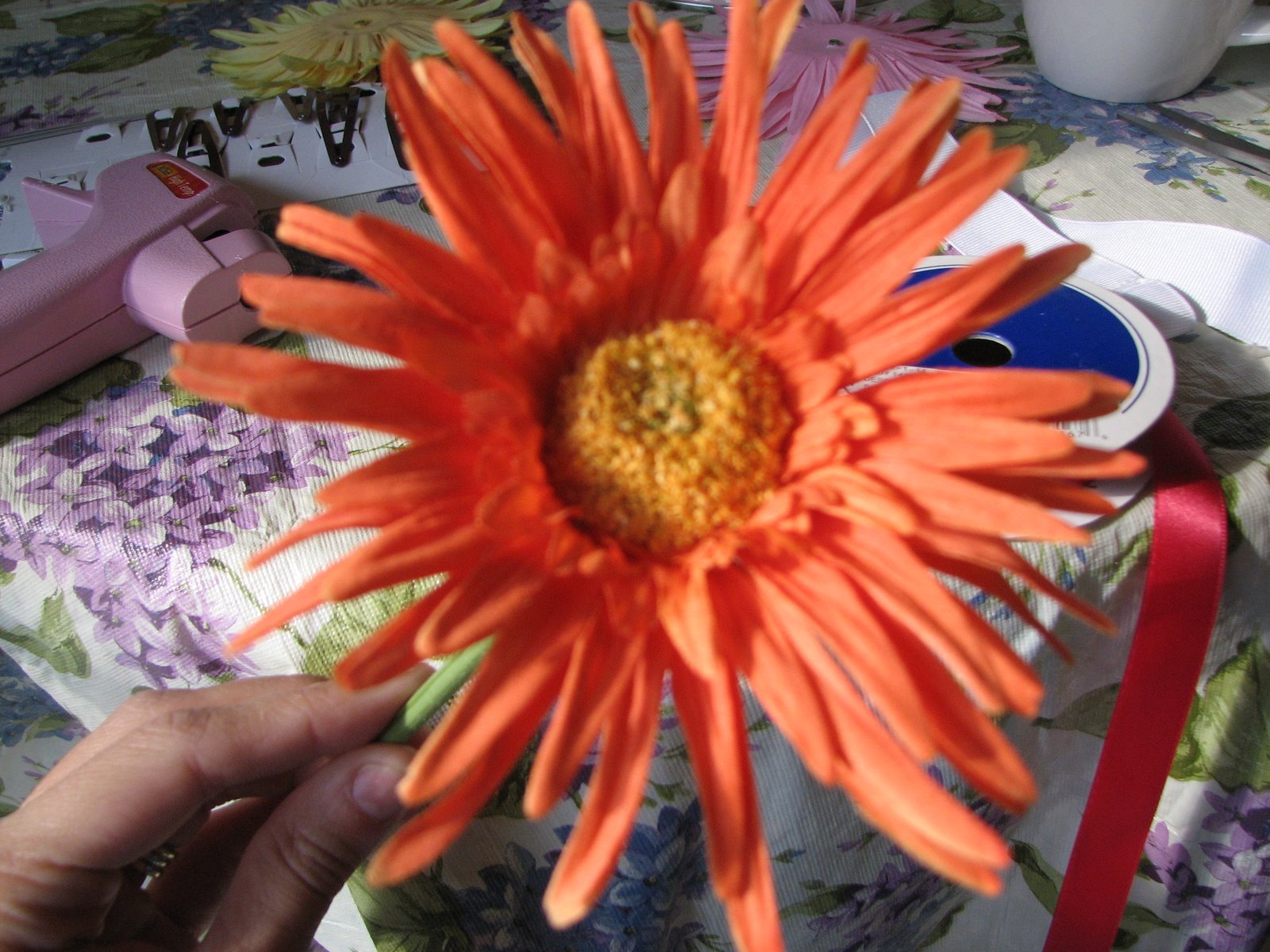 [IMG_1325.JPG]