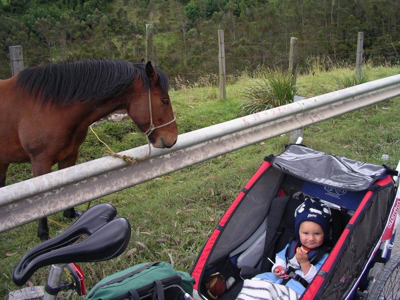 [i.+...like+horses...this+one+ate+carrots.JPG]