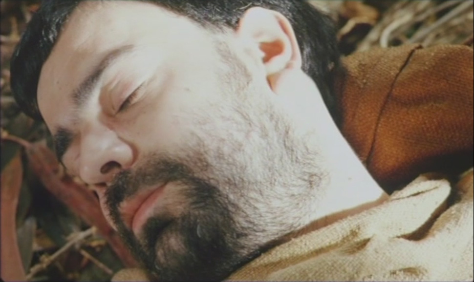 [canticleforallcreatures2.jpg]