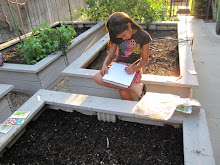 Side Garden 9-19-09