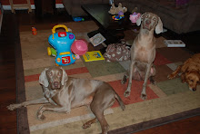 My boys!!