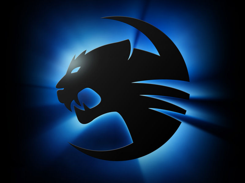 PROFESSIONAL GAMERS: FAMOUS COMPANIES OF GAMING EQUIPMENT