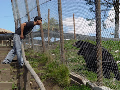 ¿Qué querrá decirle el oso?