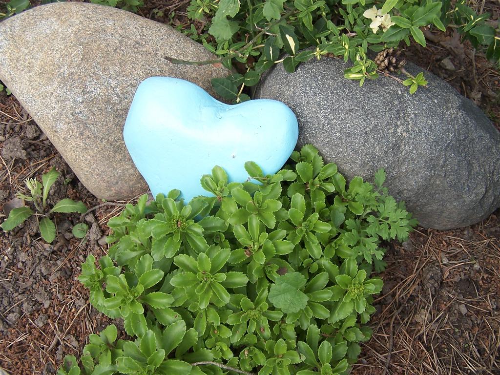 Spireas Brighten Any Garden