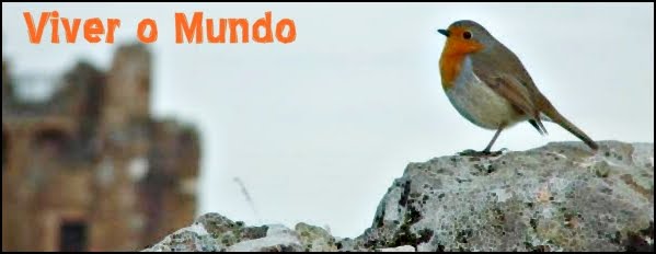 Viver o Mundo