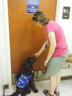 I'm bending down outside the door of the ladies' room giving Alfie a treat as he sits parallel to the door facing me