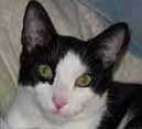 My Photo