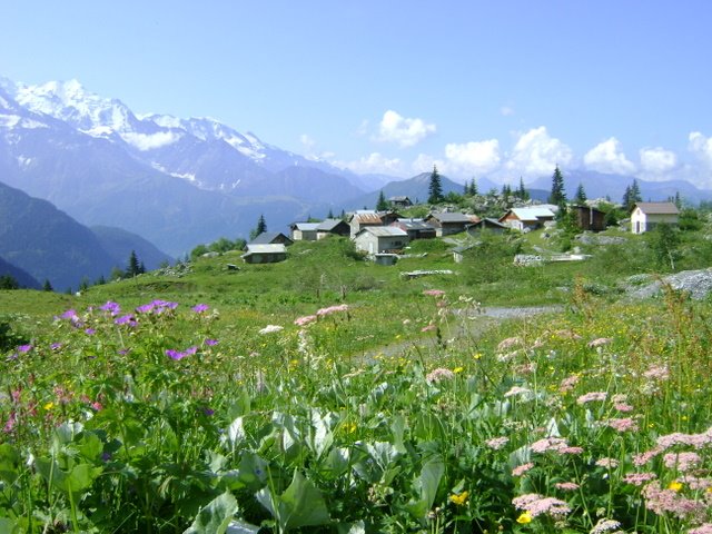 [DSC06770.JPG]