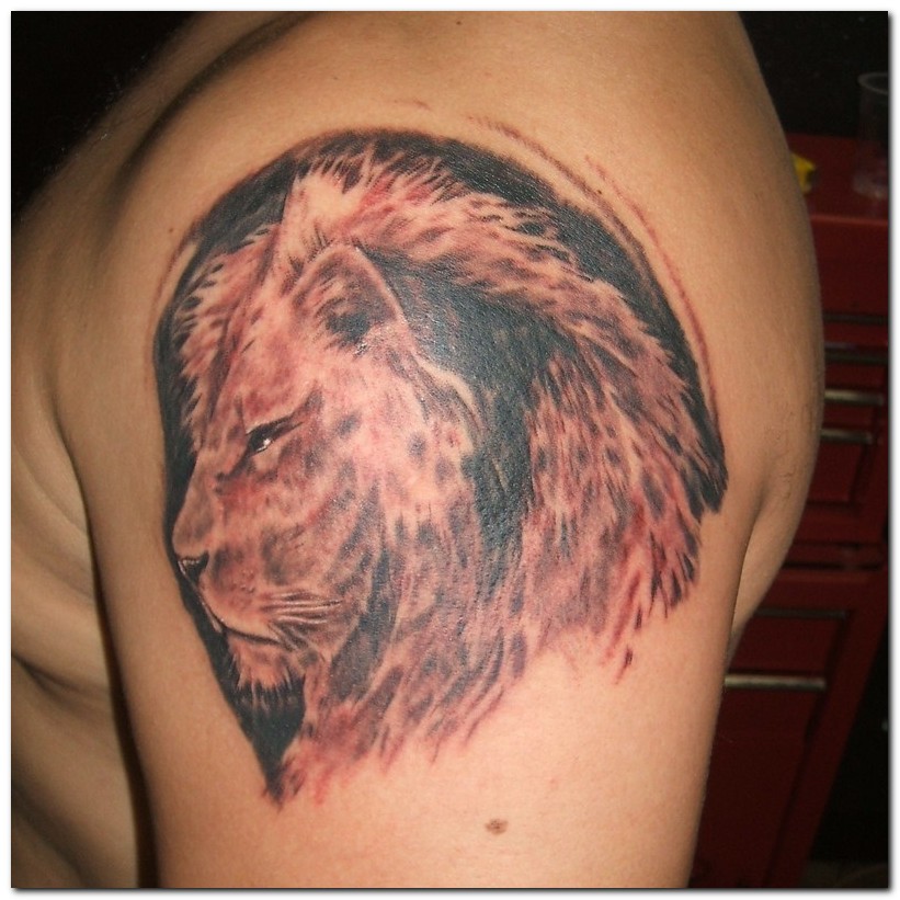 Lion Tattoo On Forearm. lion tattoo by paul smith