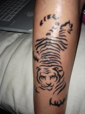 Cool Tiger Tribal Tattoo Temporary Cool Tiger Tribal Tattoo on Arm Picture
