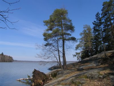 Nettipaivakirja4 Bodom 26 4 2009