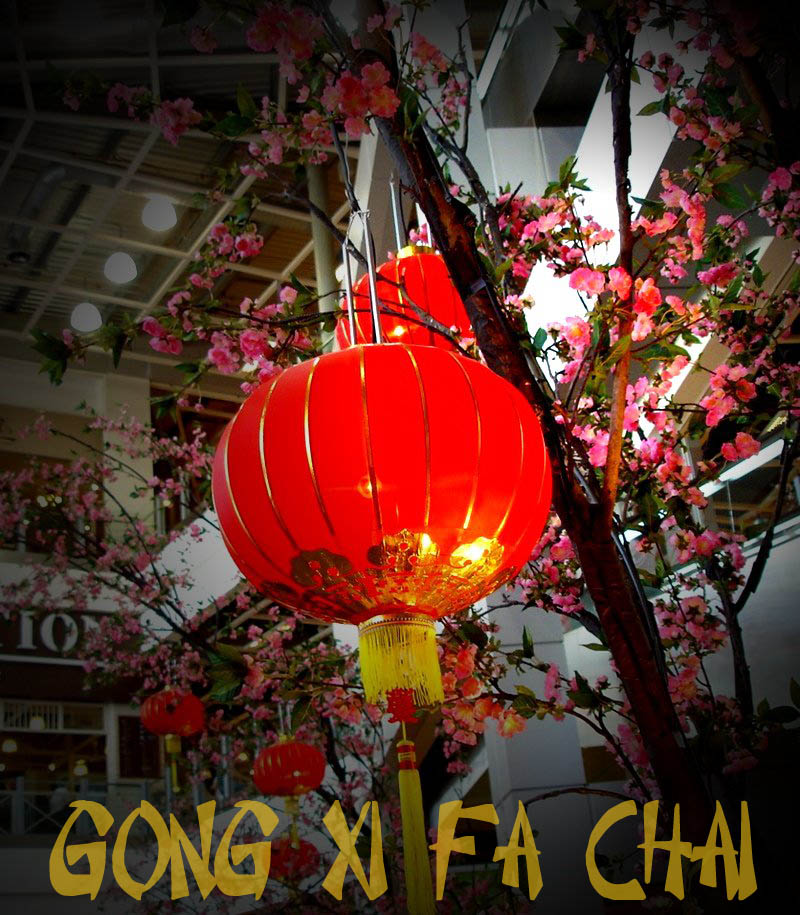Selamat Tahun Baru Cina 2011
