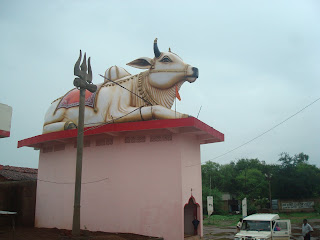 Nandi Bail