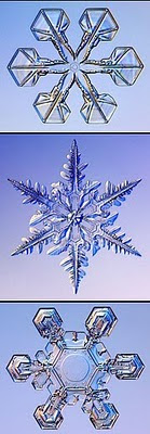 Snowflake photomicroscope images by Kenneth G. Libbrecht, used by permission. Click to see his wonderful website.