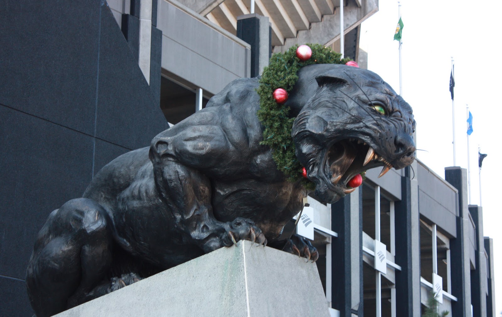 merry christmas huddle carolina panthers news and talk carolina panther christmas
