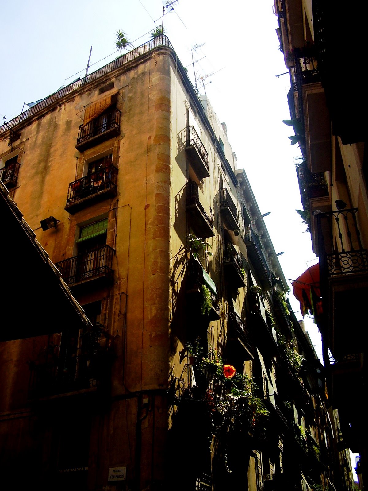 [P1010107.JPG]