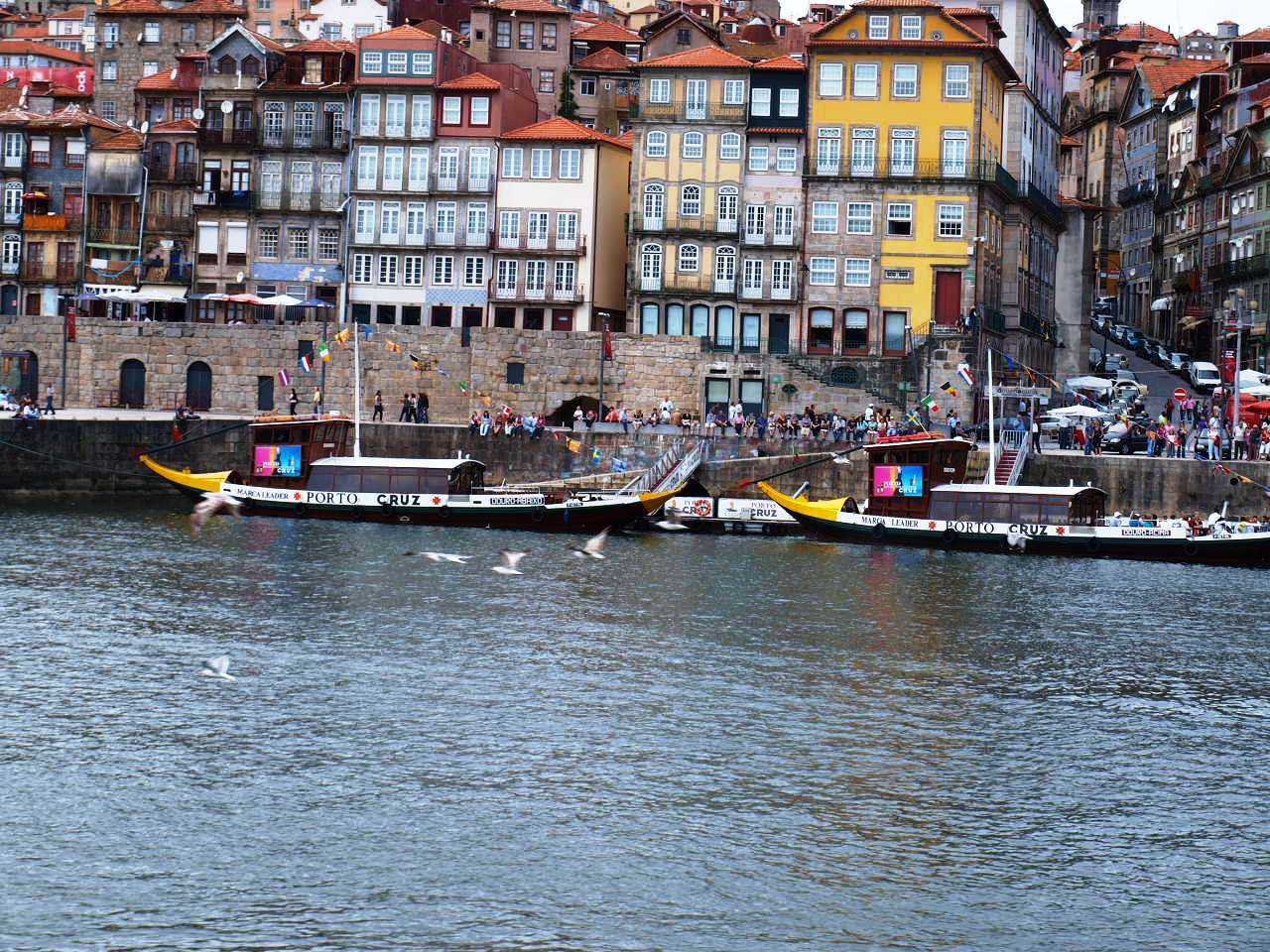 [P1013880.JPG]