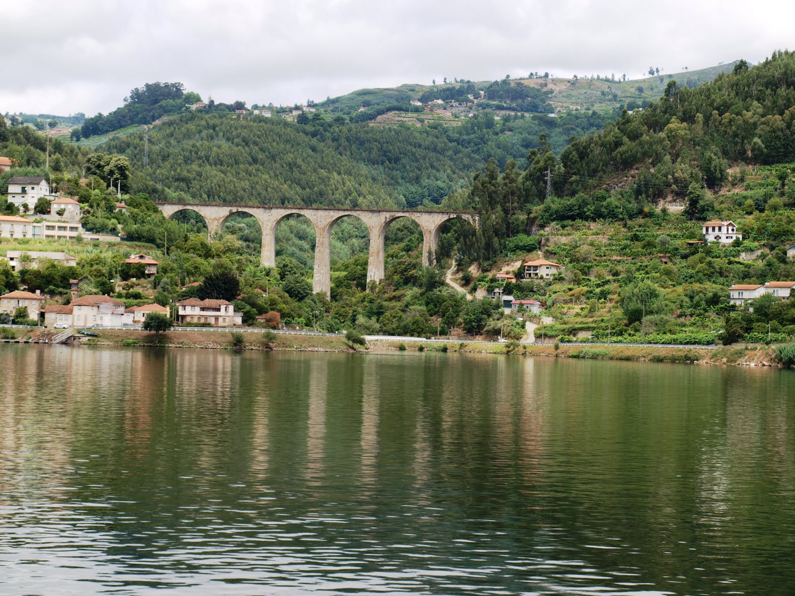 [P1013590.JPG]