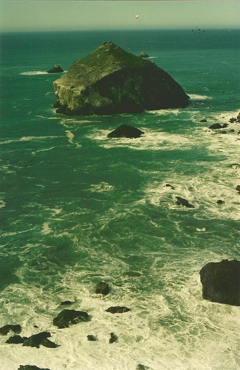 [Digitalizar0011.jpg]