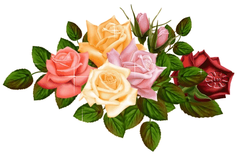 [flores238.gif]