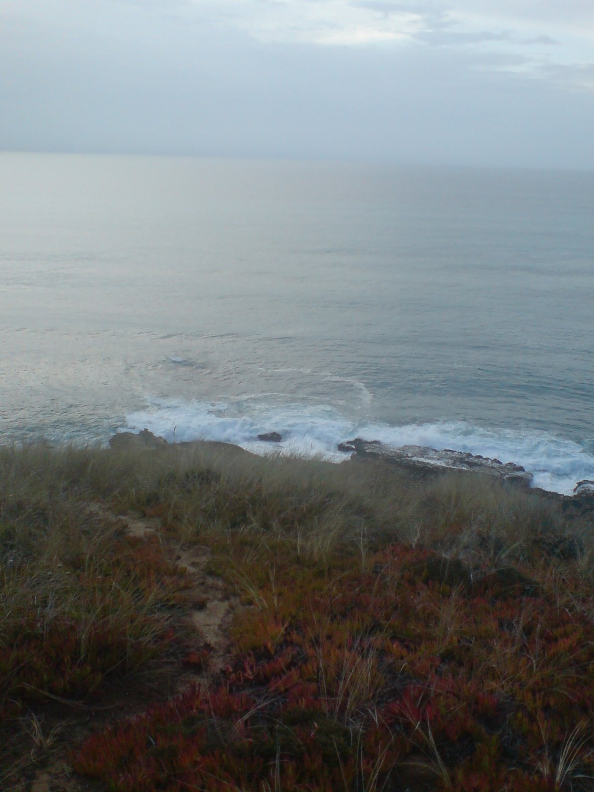 [DSC01373.JPG]