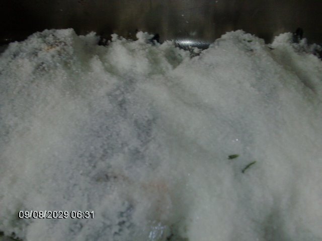 [comida+051.jpg]