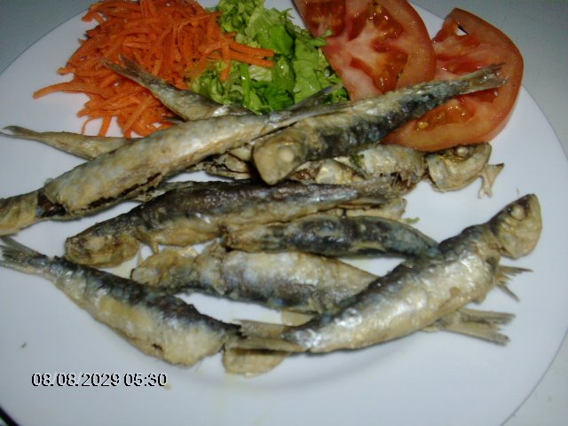 [comida+046.jpg]