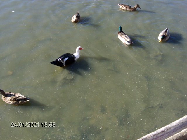 [comida+017.jpg]