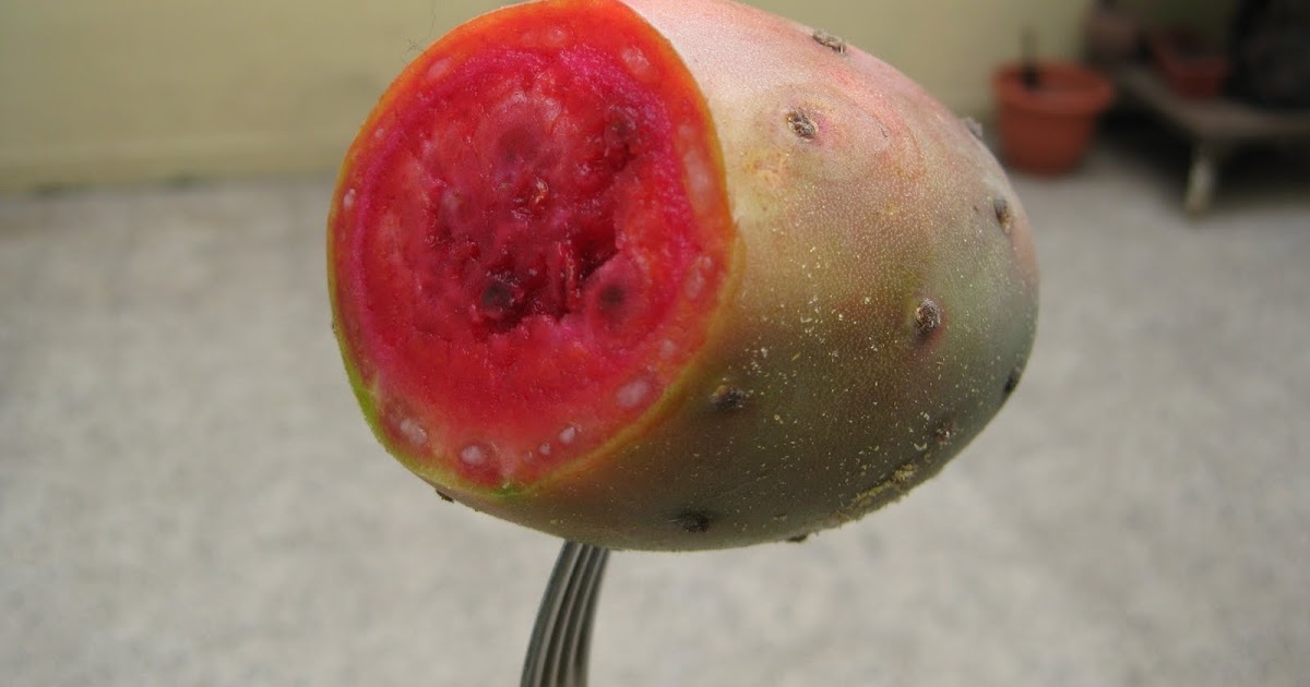 what do vegans eat? tuna fruit